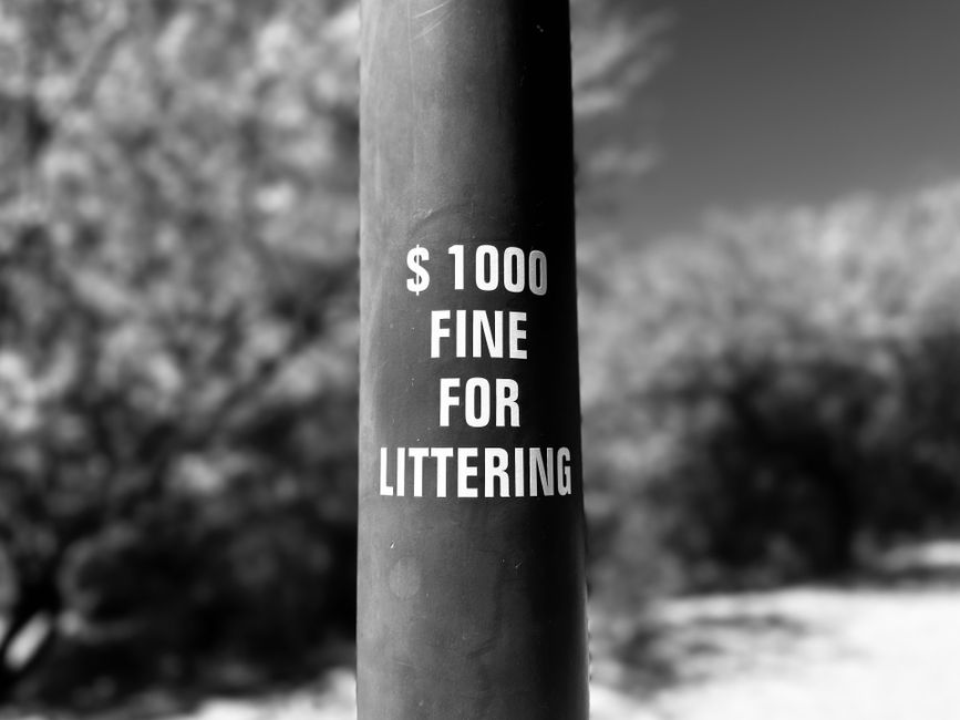 A close-up photograph of a dark cylindrical pole situated outdoors, prominently displaying a white warning sign that reads '$1000 FINE FOR LITTERING'. The sign is positioned centrally on the pole, wit